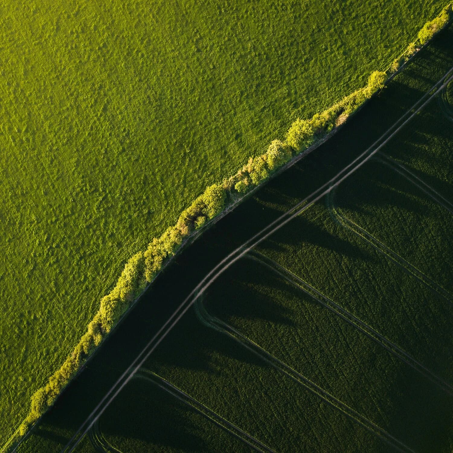Aerial view of green plots and land development