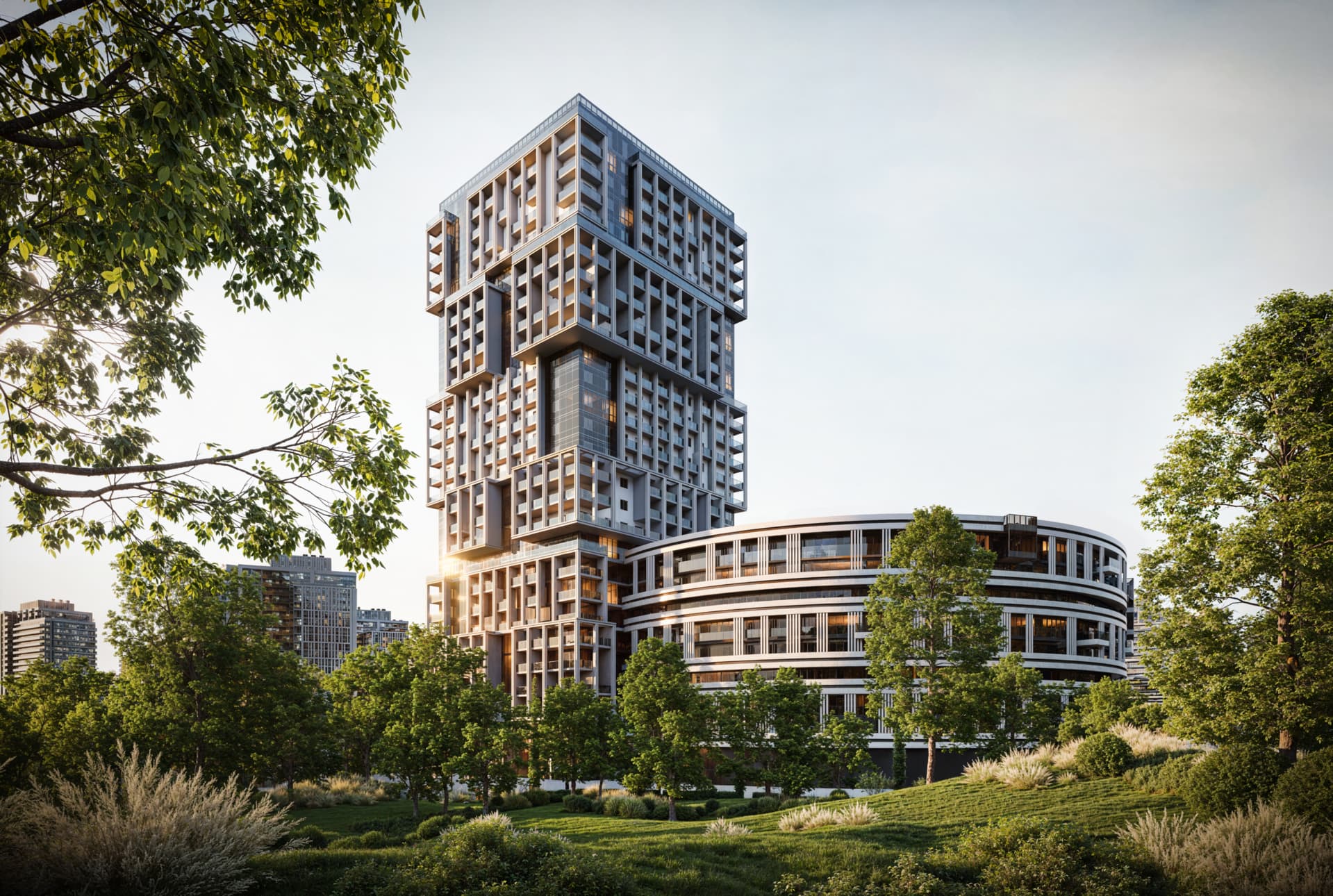 Outlook Forest “მატერიასგან”